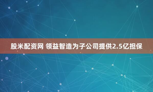 股米配资网 领益智造为子公司提供2.5亿担保