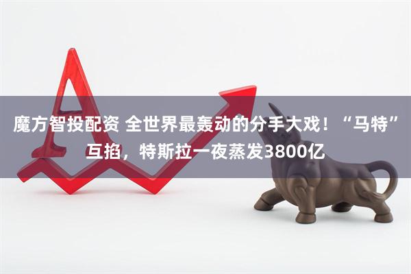 魔方智投配资 全世界最轰动的分手大戏！“马特”互掐，特斯拉一夜蒸发3800亿