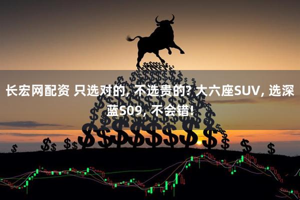 长宏网配资 只选对的, 不选贵的? 大六座SUV, 选深蓝S09, 不会错!